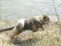 filou (37)